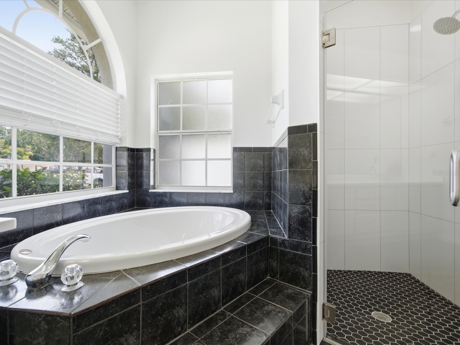 4617 Debbie Lane Lutz FL 33559 TB8523433 image31
