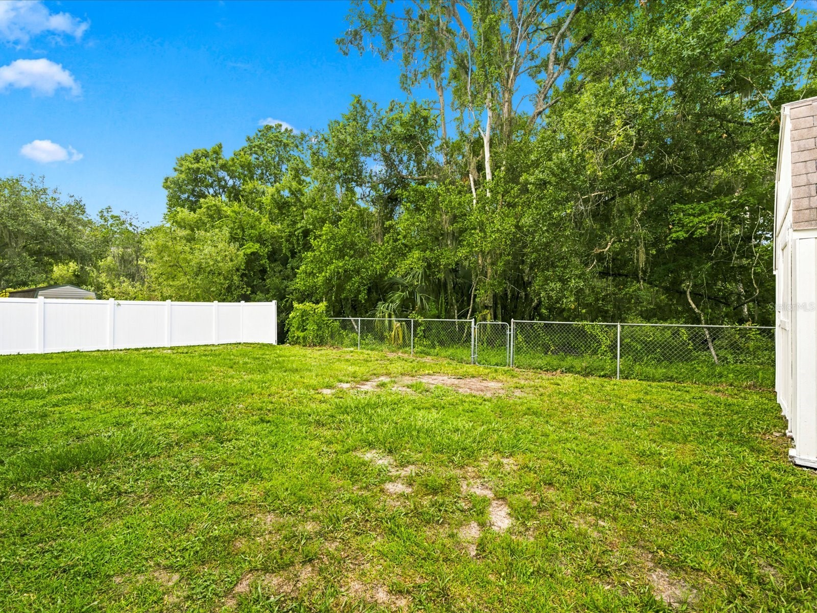 4617 Debbie Lane Lutz FL 33559 TB8523433 image49