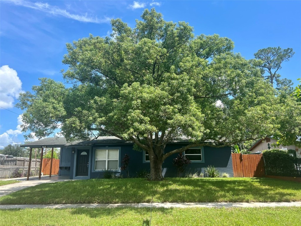 4617 Millcove Drive Orlando FL 32812 O6140605 image1