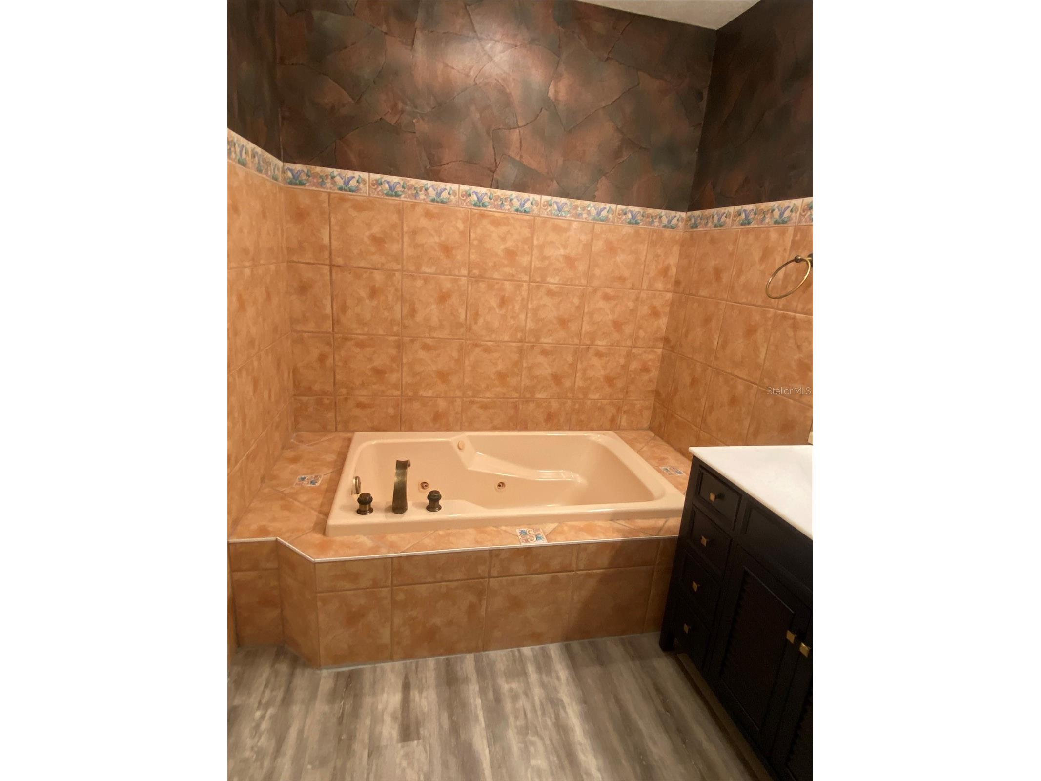 4617 Mirabella Court #4617 Saint Pete Beach FL 33706 TB8505058 image26