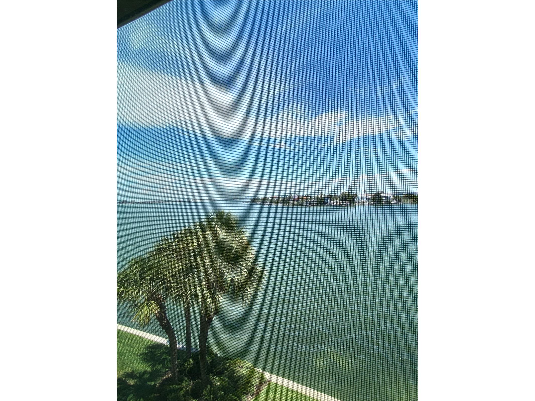 4617 Mirabella Court #4617 Saint Pete Beach FL 33706 TB8505058 image37
