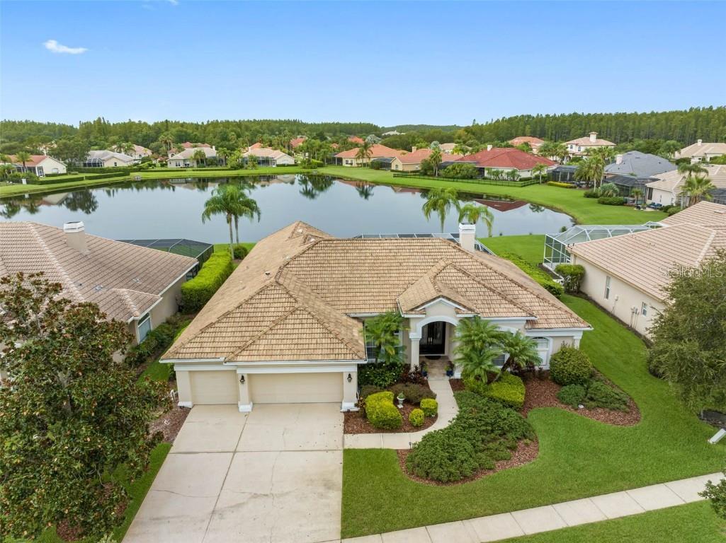 4618 Avenue Longchamps Lutz FL 33558 - LAKE BORDEAUX T3460705 image1