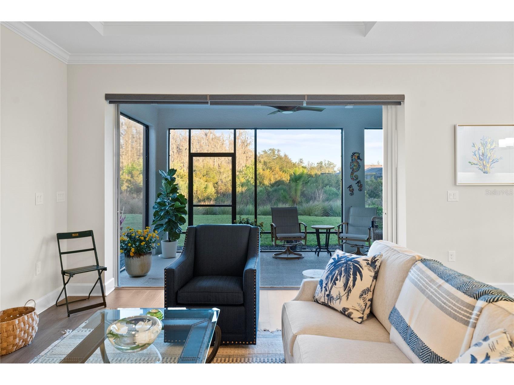 4618 Isonzo Way Wesley Chapel FL 33543 TB8466861 image25