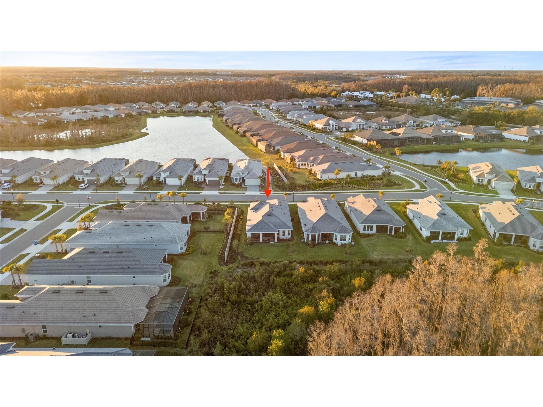 4618 Isonzo Way Wesley Chapel FL 33543 TB8466861 image4