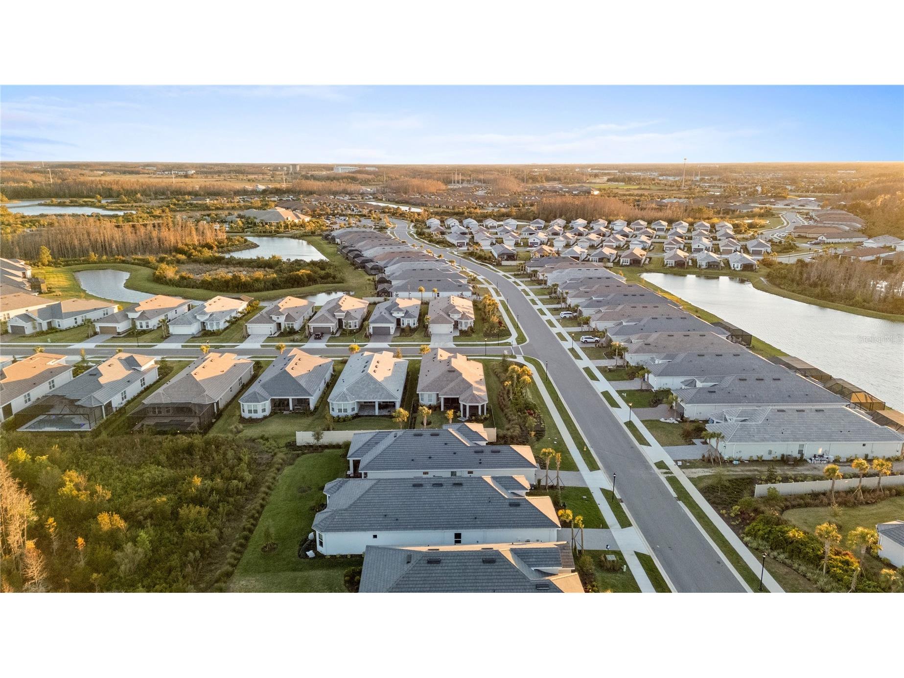 4618 Isonzo Way Wesley Chapel FL 33543 TB8466861 image47