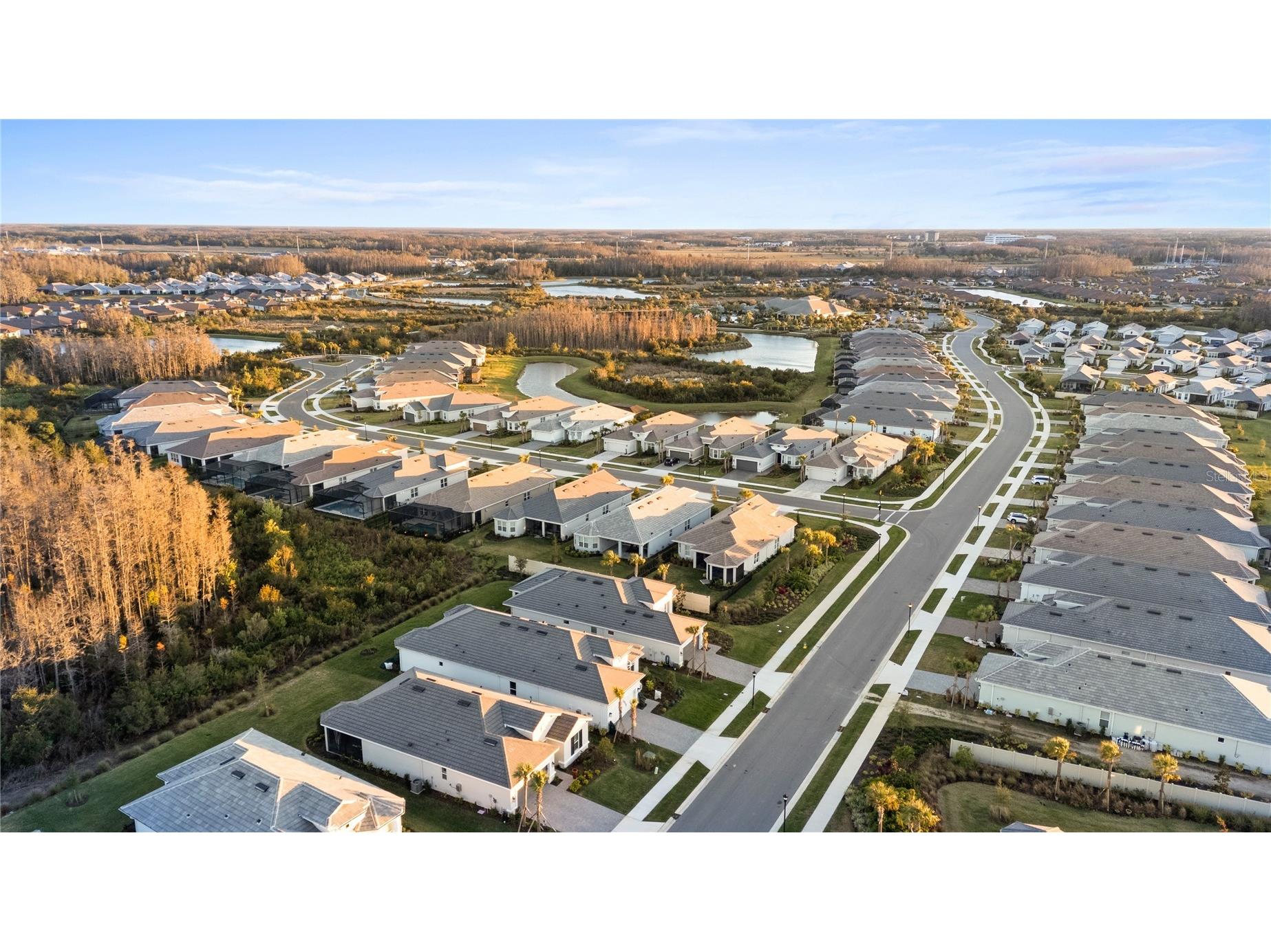 4618 Isonzo Way Wesley Chapel FL 33543 TB8466861 image48