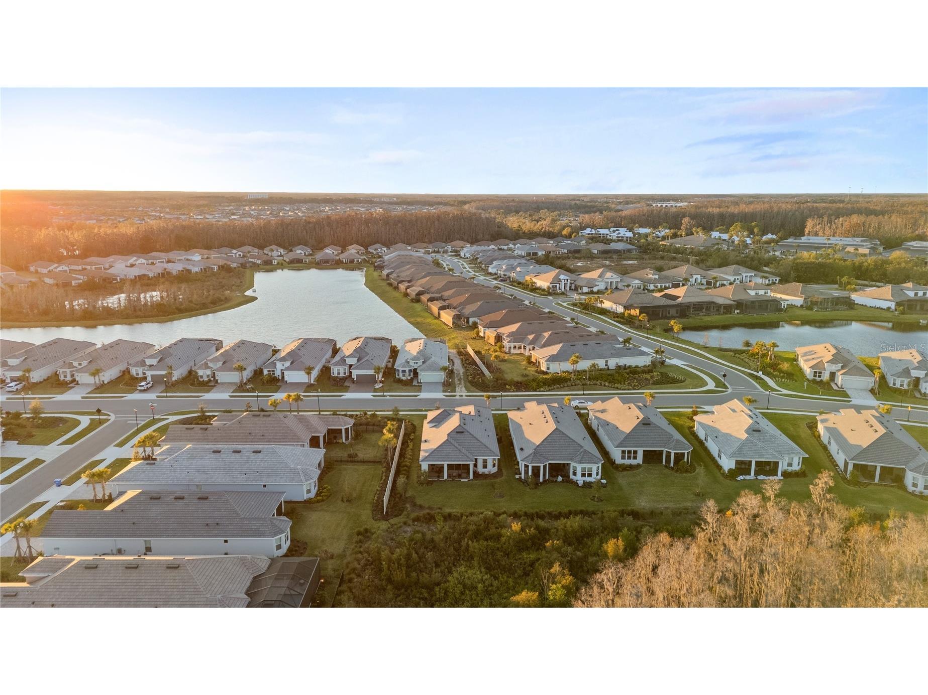 4618 Isonzo Way Wesley Chapel FL 33543 TB8466861 image54