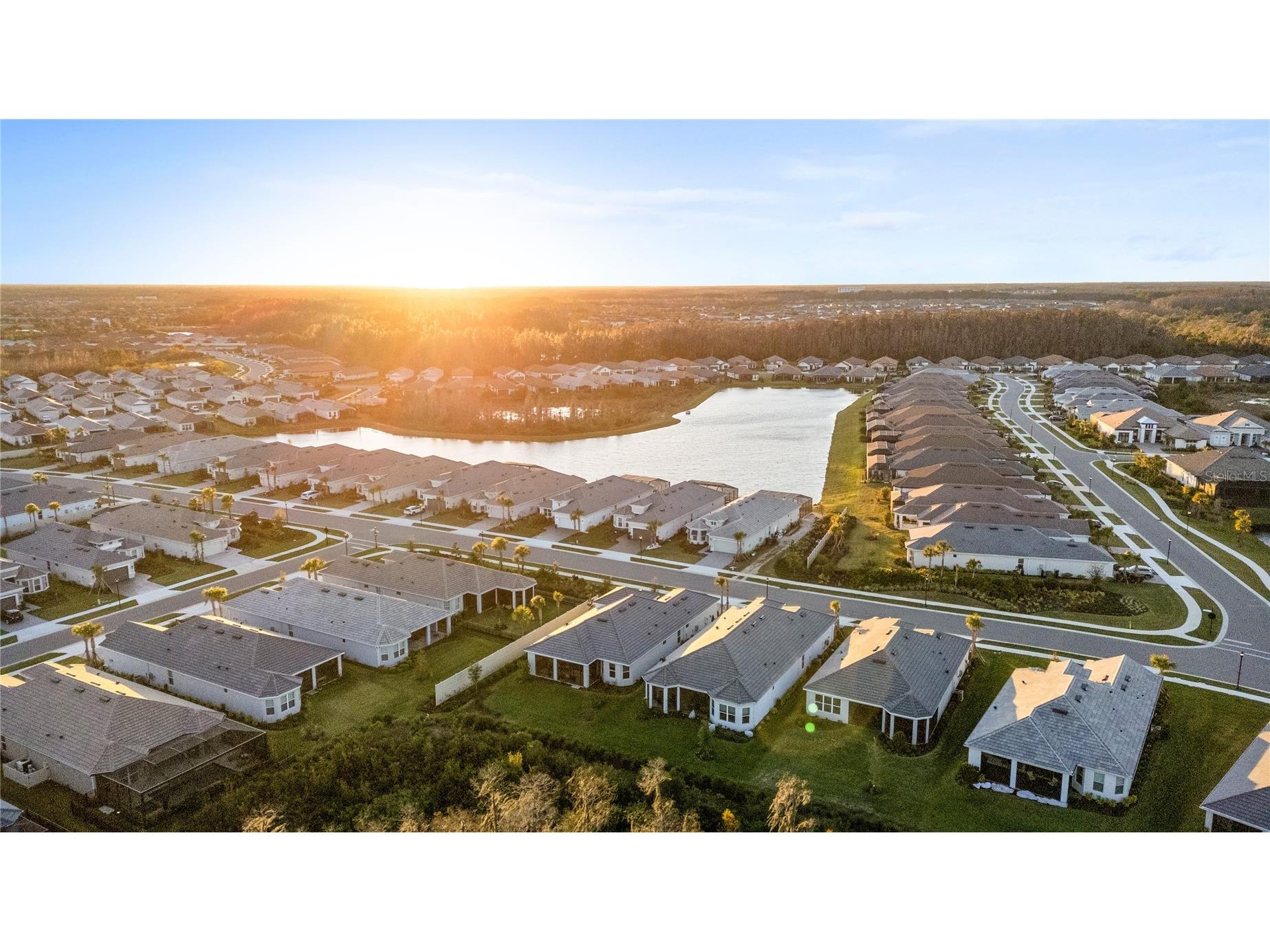 4618 Isonzo Way Wesley Chapel FL 33543 TB8466861 image55