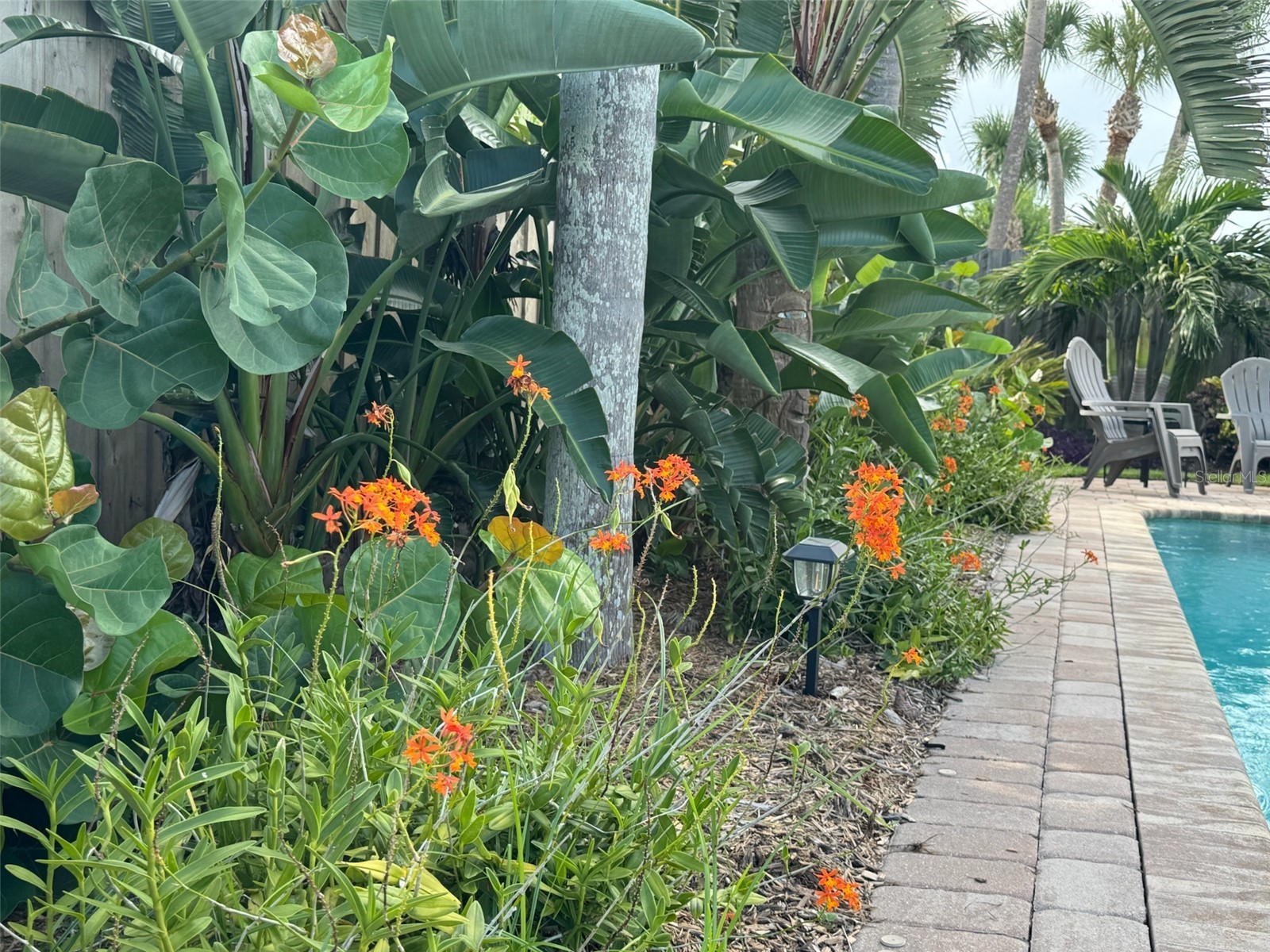 4618 Katy Drive New Smyrna Beach FL 32169 - ATLANTIC OCEAN INDIAN RIVER NS1086745 image30