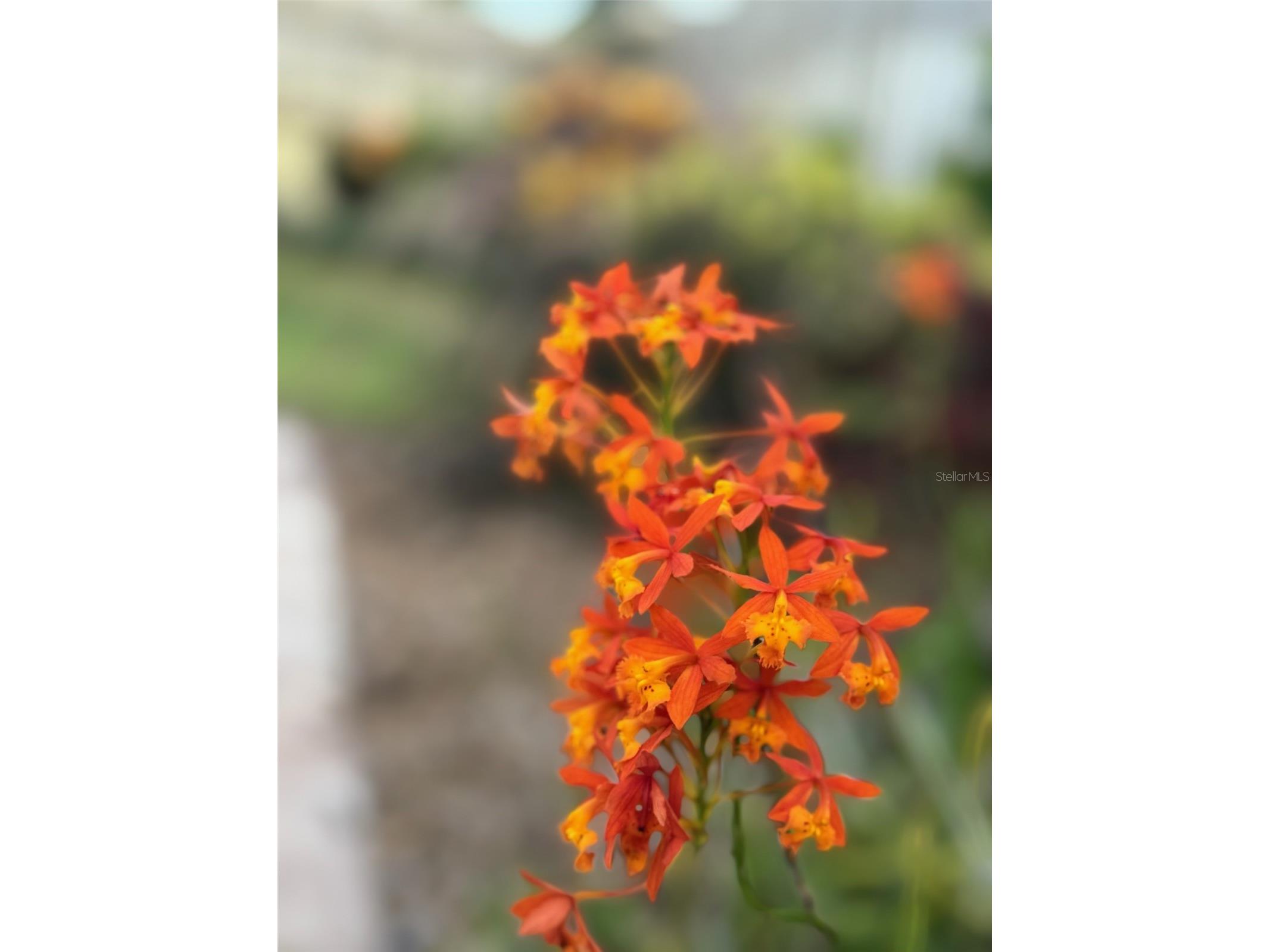 4618 Katy Drive New Smyrna Beach FL 32169 - ATLANTIC OCEAN INDIAN RIVER NS1086745 image32