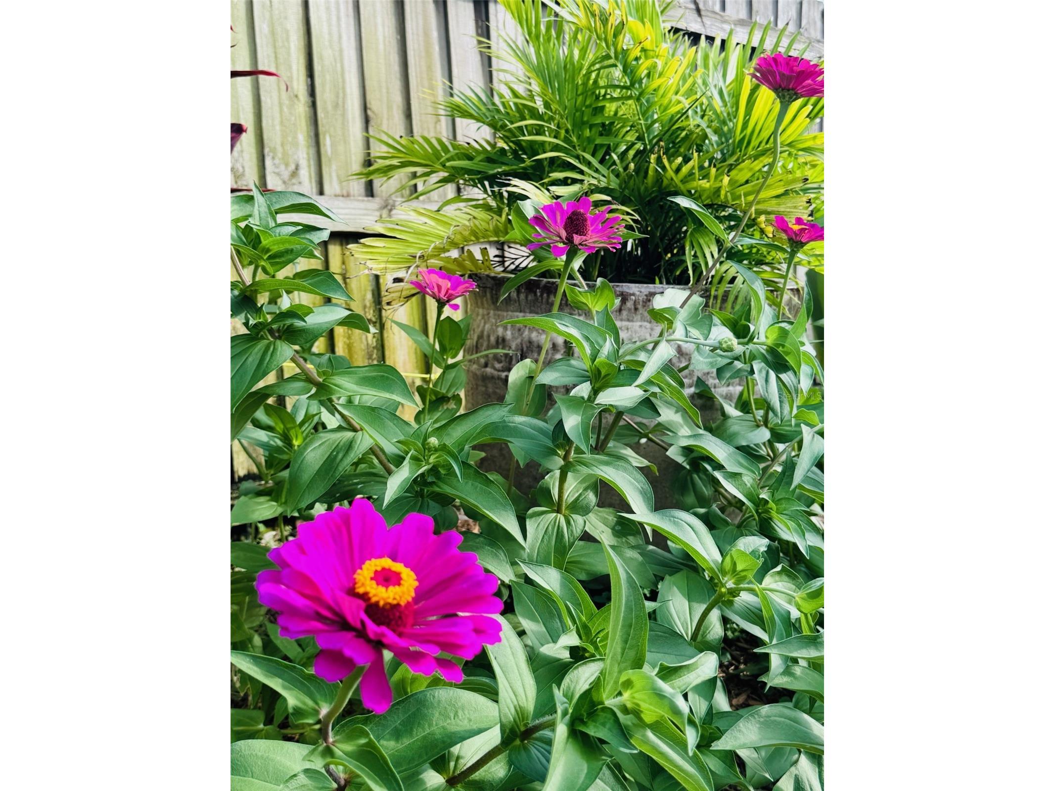 4618 Katy Drive New Smyrna Beach FL 32169 - ATLANTIC OCEAN INDIAN RIVER NS1086745 image35