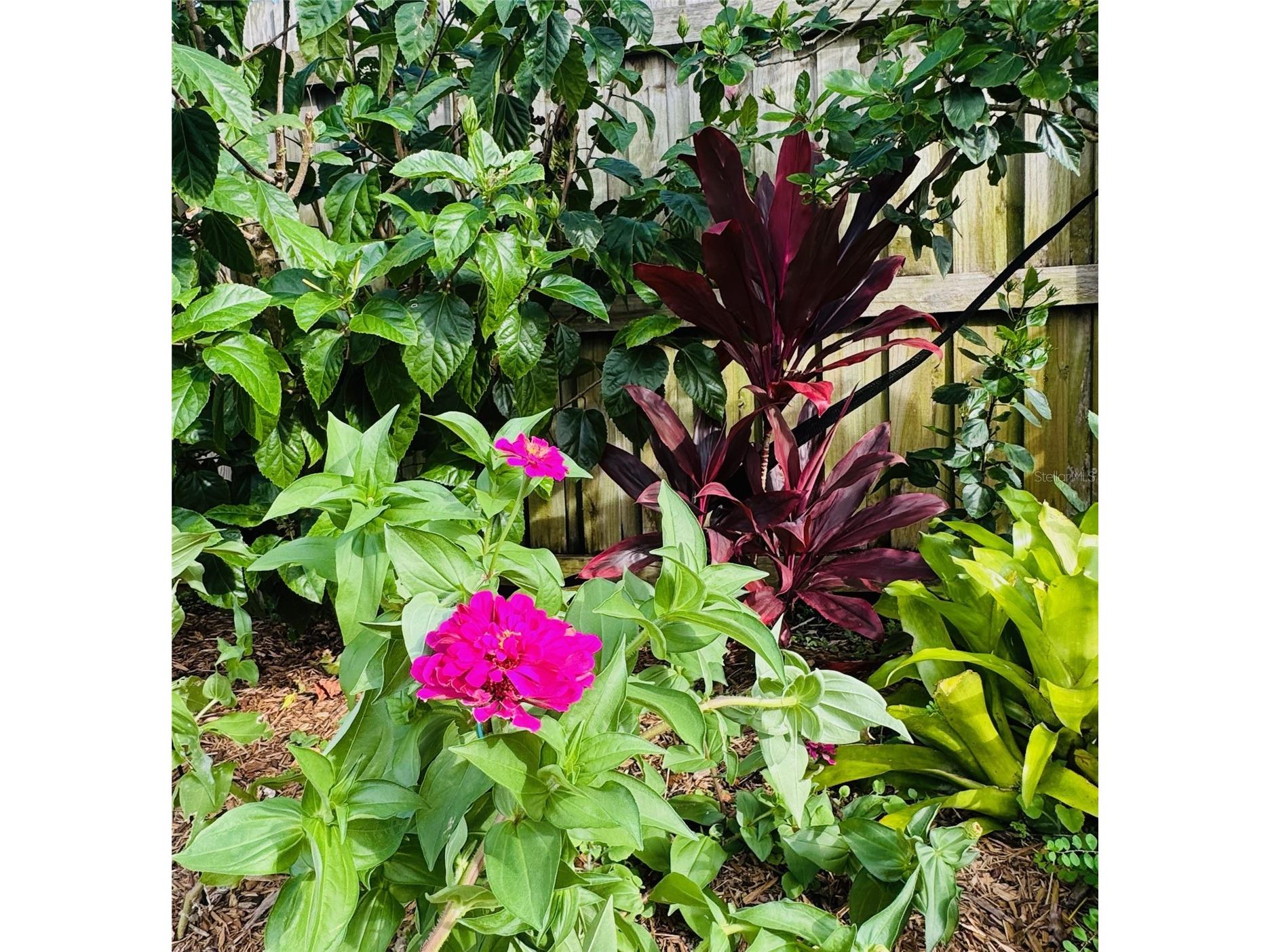 4618 Katy Drive New Smyrna Beach FL 32169 - ATLANTIC OCEAN INDIAN RIVER NS1086745 image37