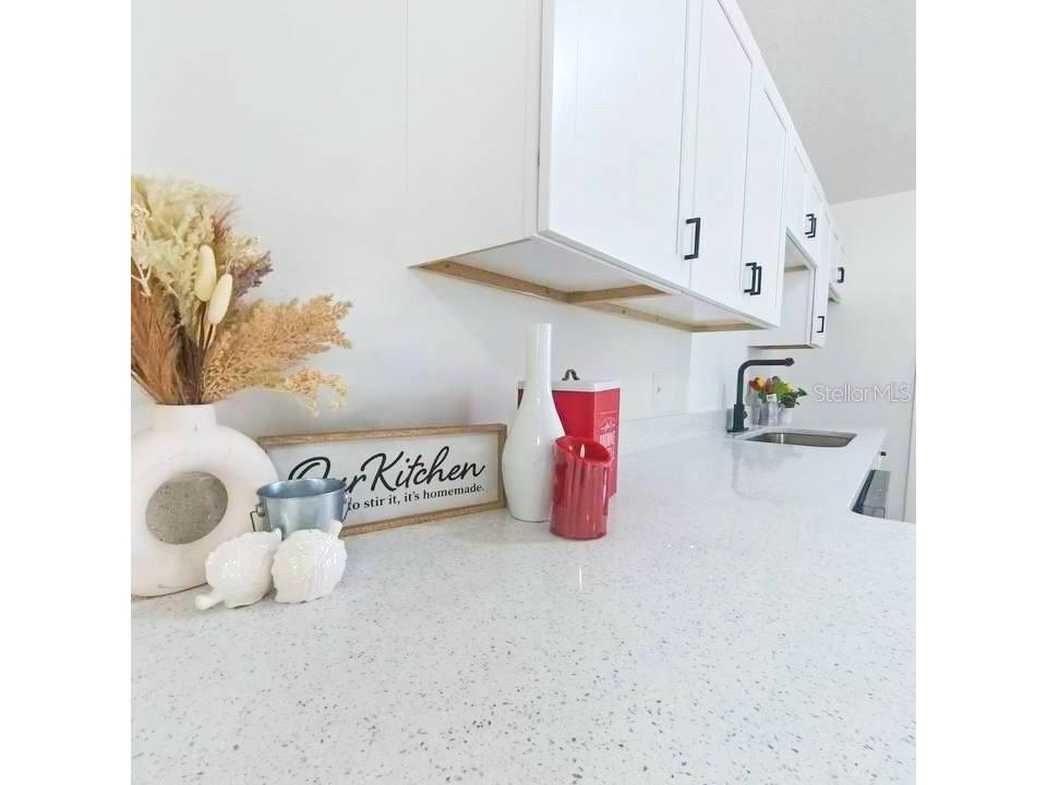 4618 Miranda Circle Orlando FL 32818 S5138138 image13