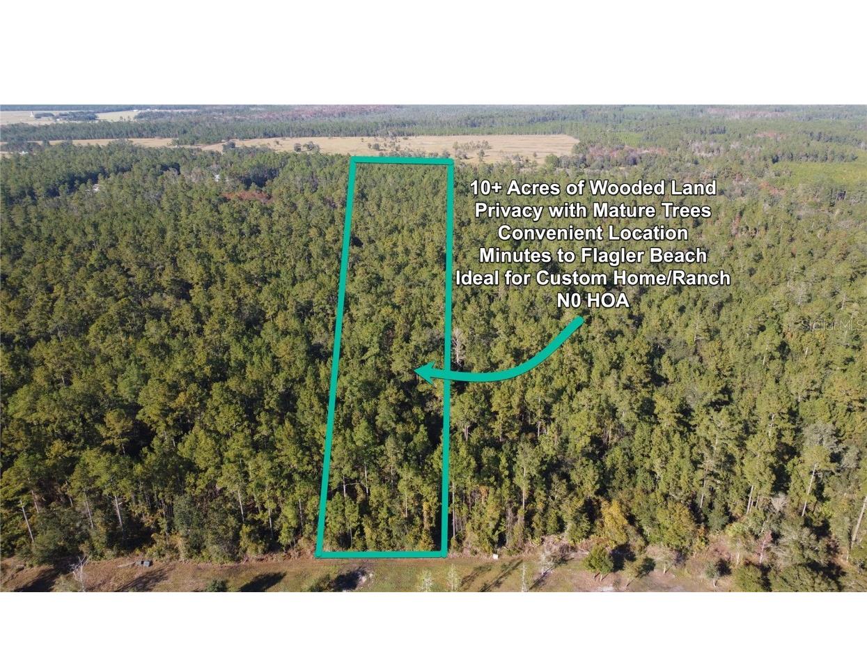 4619 State Hwy 100 W Bunnell FL 32110 FC314292 image2