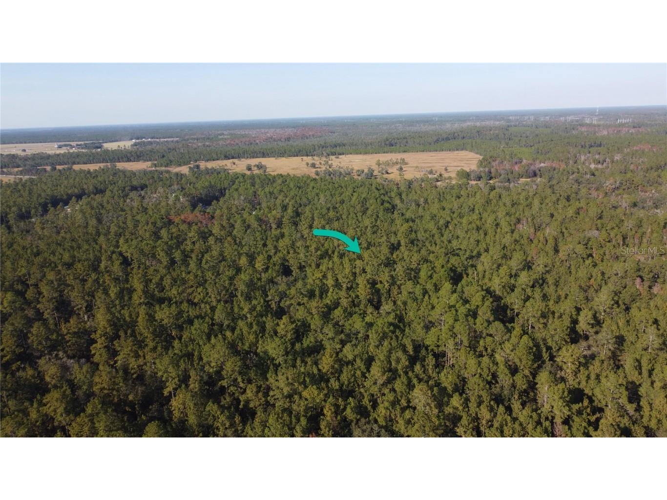 4619 State Hwy 100 W Bunnell FL 32110 FC314292 image3