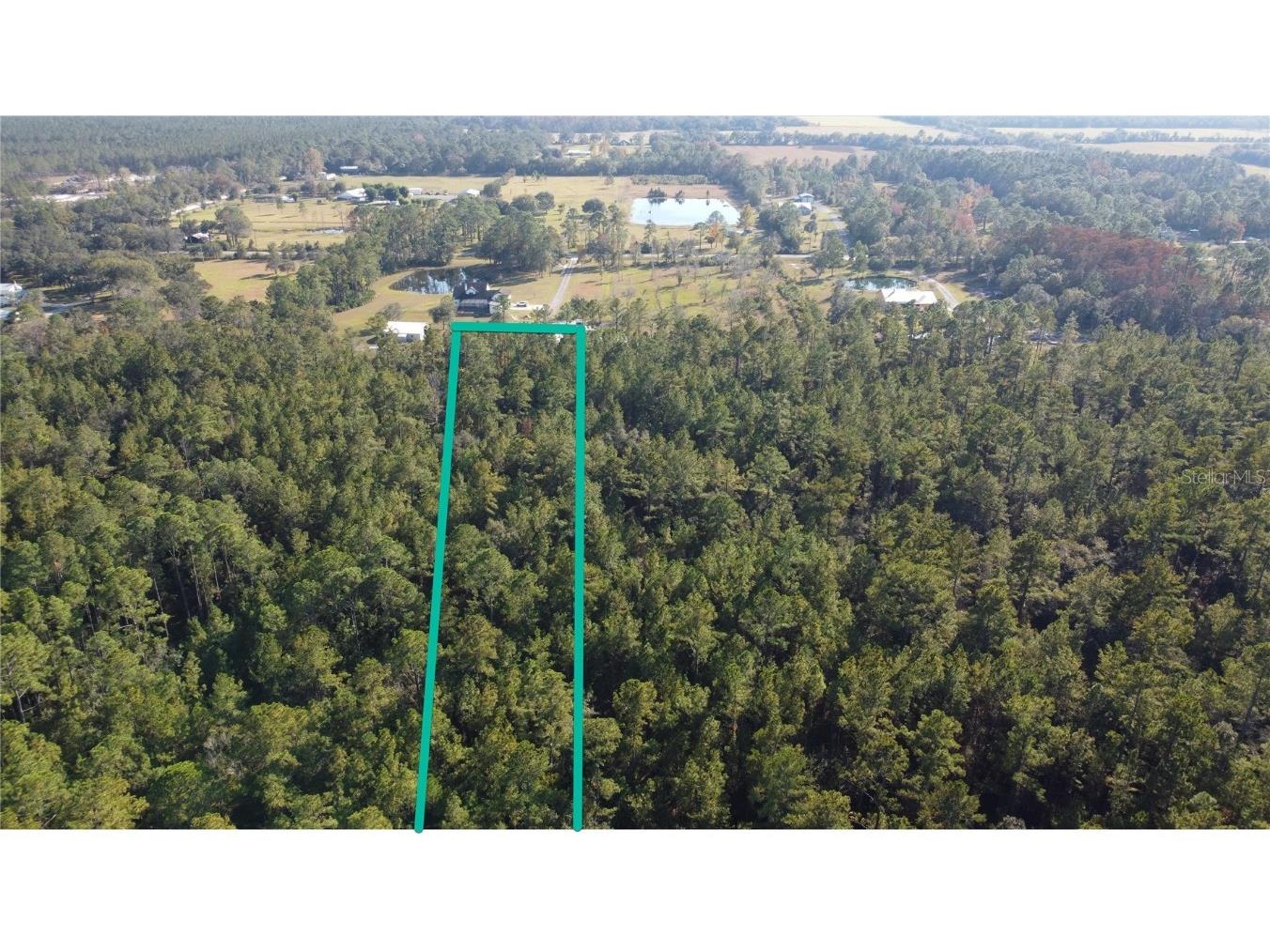 4619 State Hwy 100 W Bunnell FL 32110 FC314292 image4