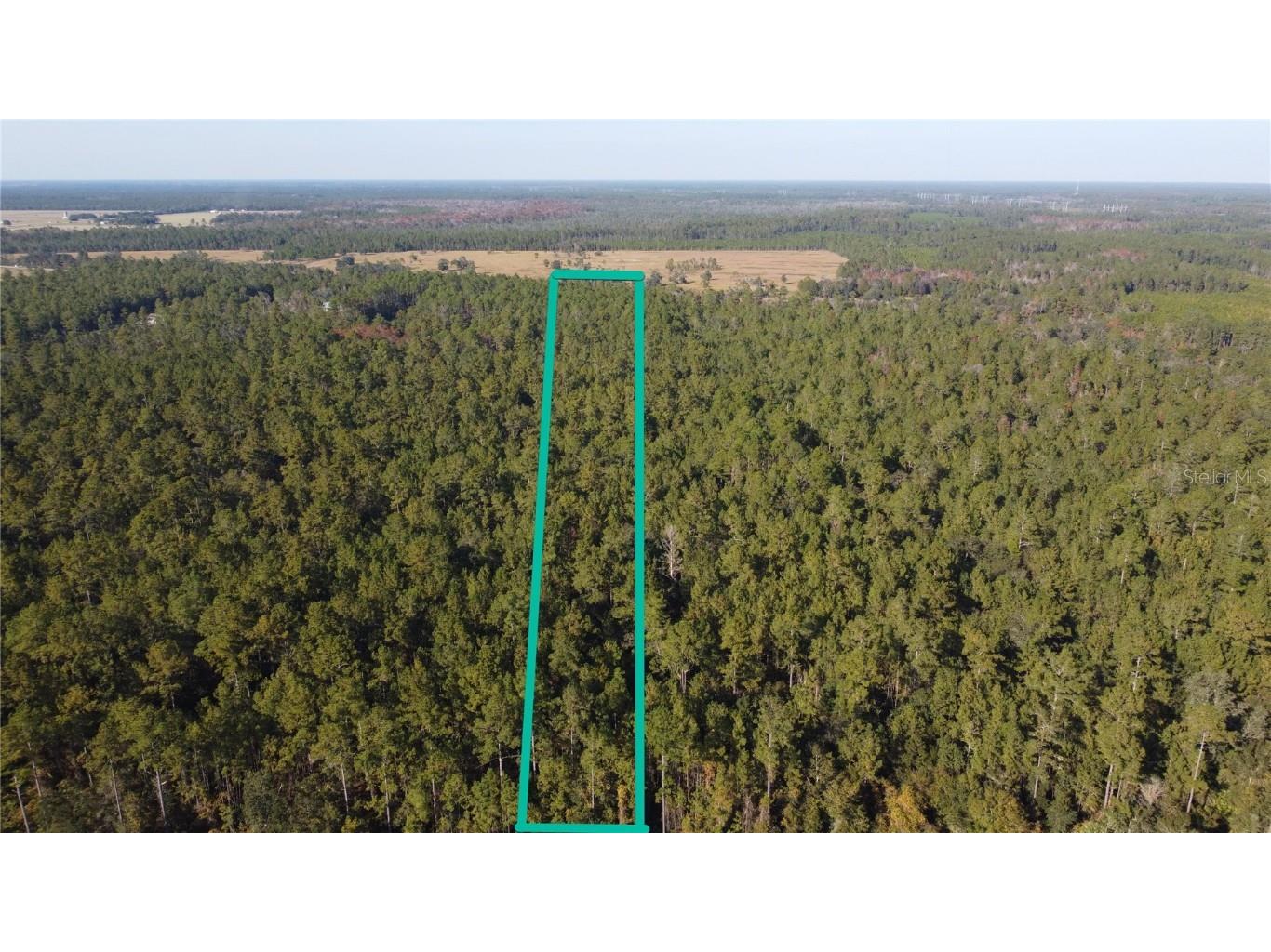 4619 State Hwy 100 W Bunnell FL 32110 FC314292 image5