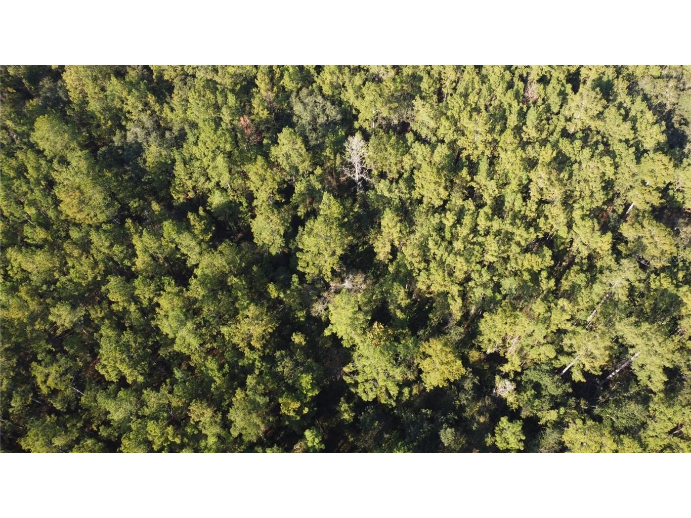 4619 State Hwy 100 W Bunnell FL 32110 FC314292 image6