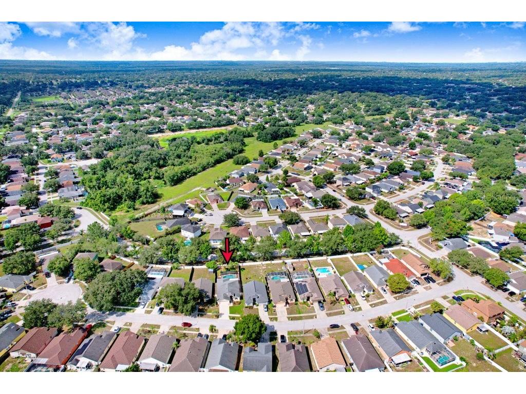 4619 Tucson Court Valrico FL 33594 TB8526525 image44