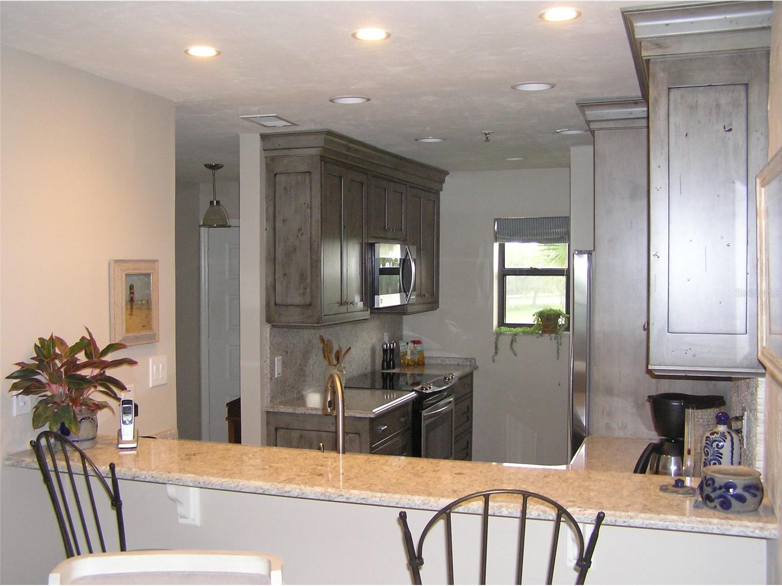 462 Bouchelle Drive #201 New Smyrna Beach FL 32169 A4689896 image4