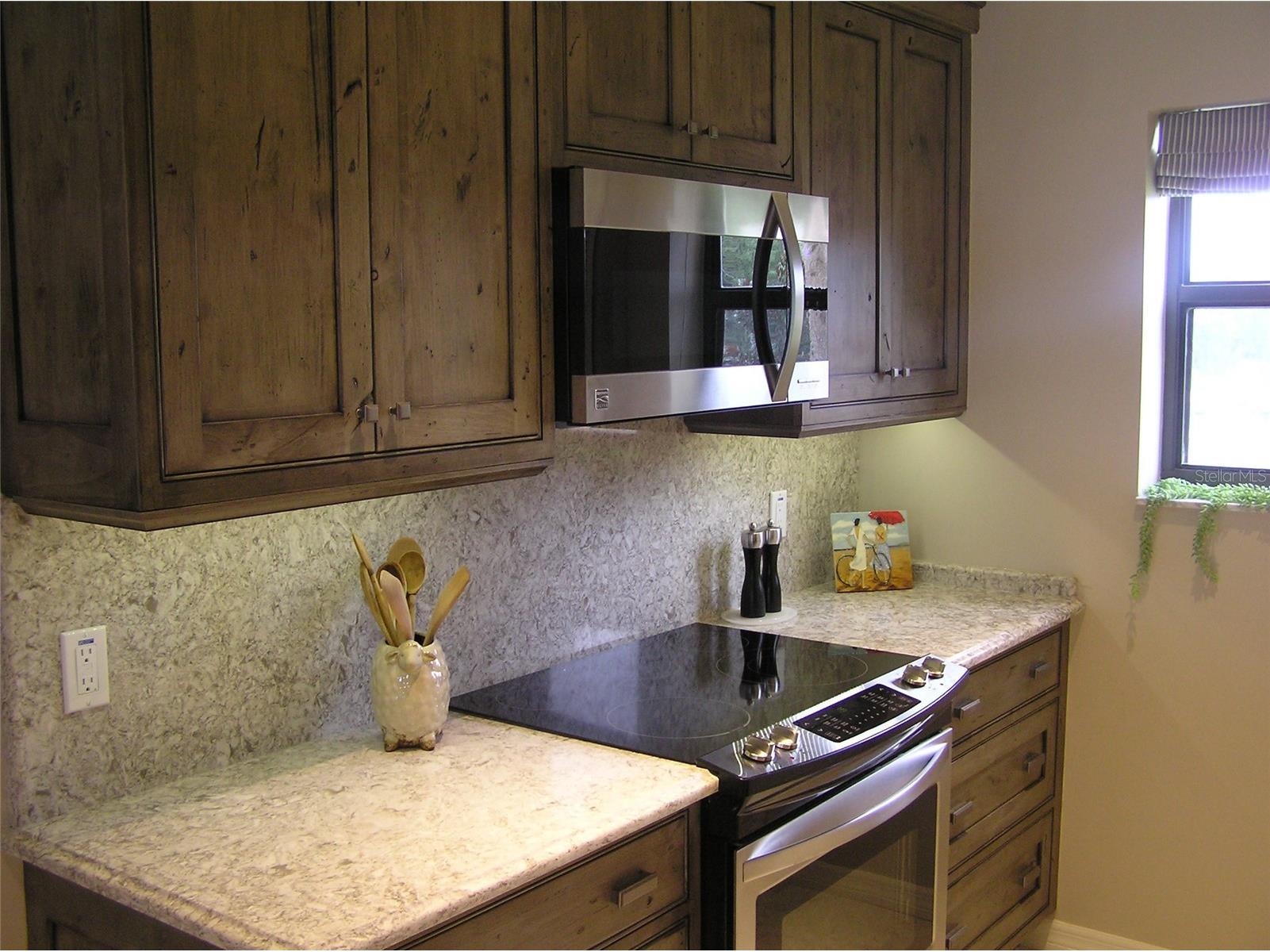 462 Bouchelle Drive #201 New Smyrna Beach FL 32169 A4689896 image5