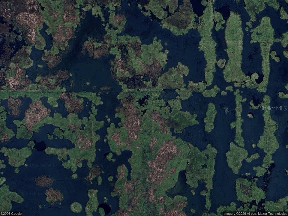 462 Emerald Grove Drive Apopka FL 32703 J996553 image1