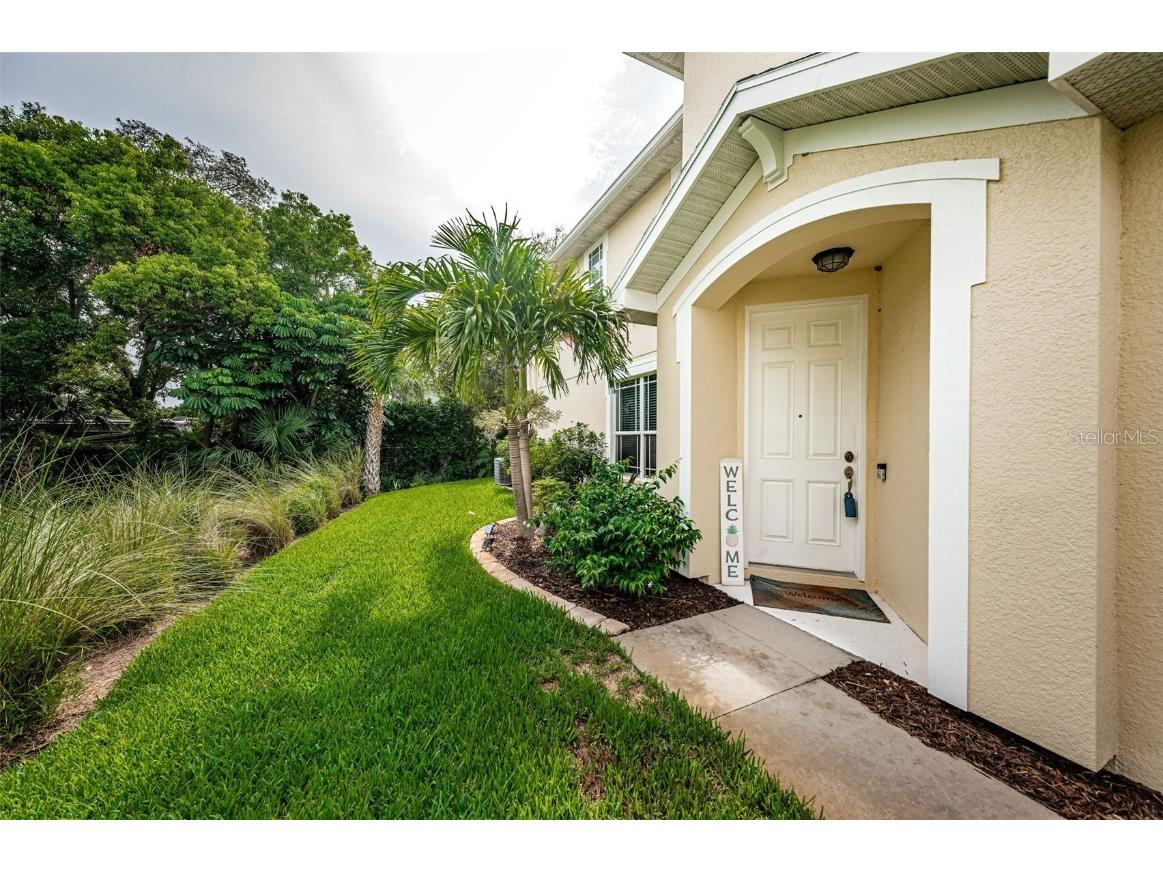 462 Harbor Ridge Drive Palm Harbor FL 34683 U8250417 image1