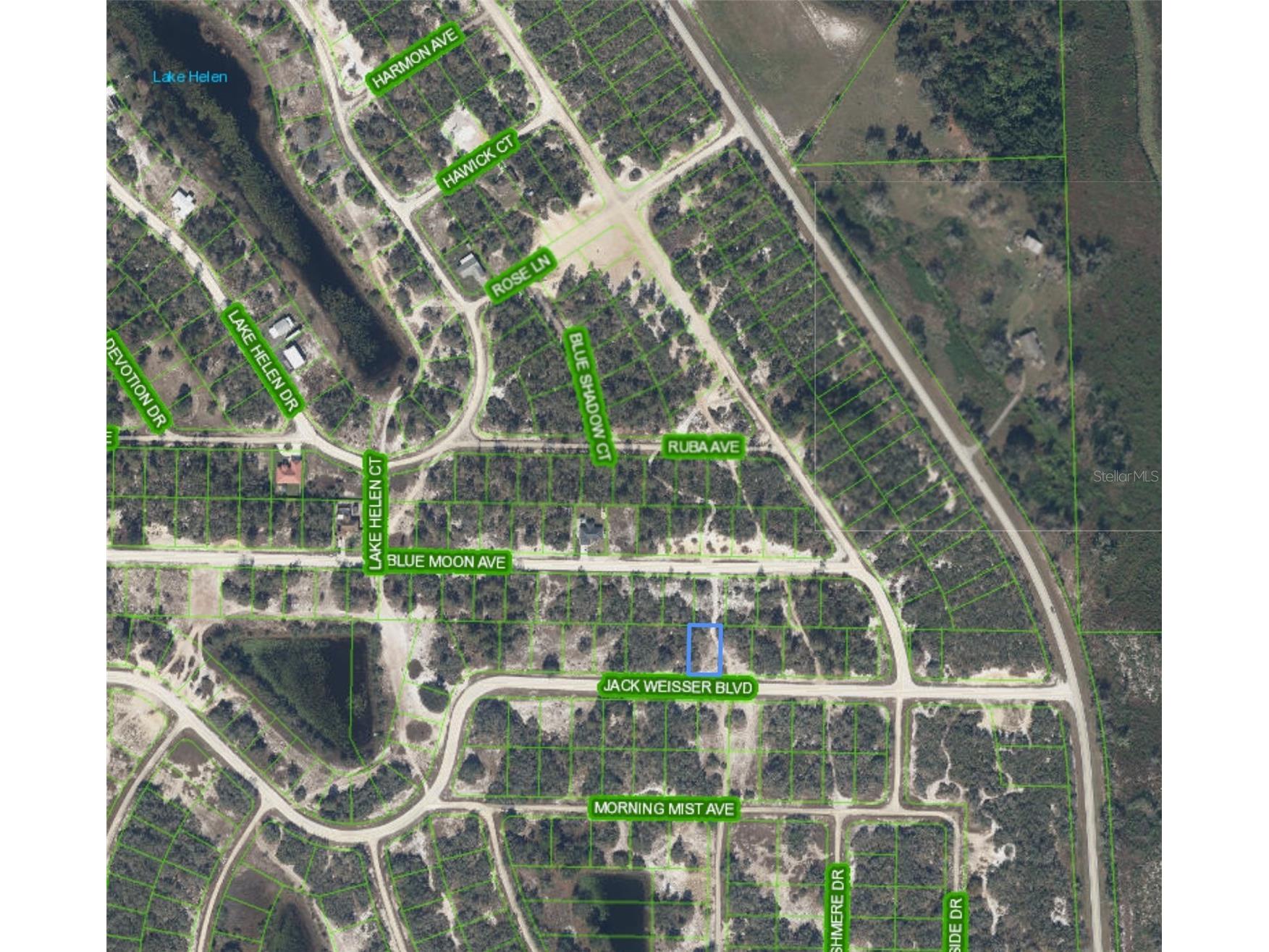 462 Jack Weisser Boulevard Lake Placid FL 33852 P4938859 image1