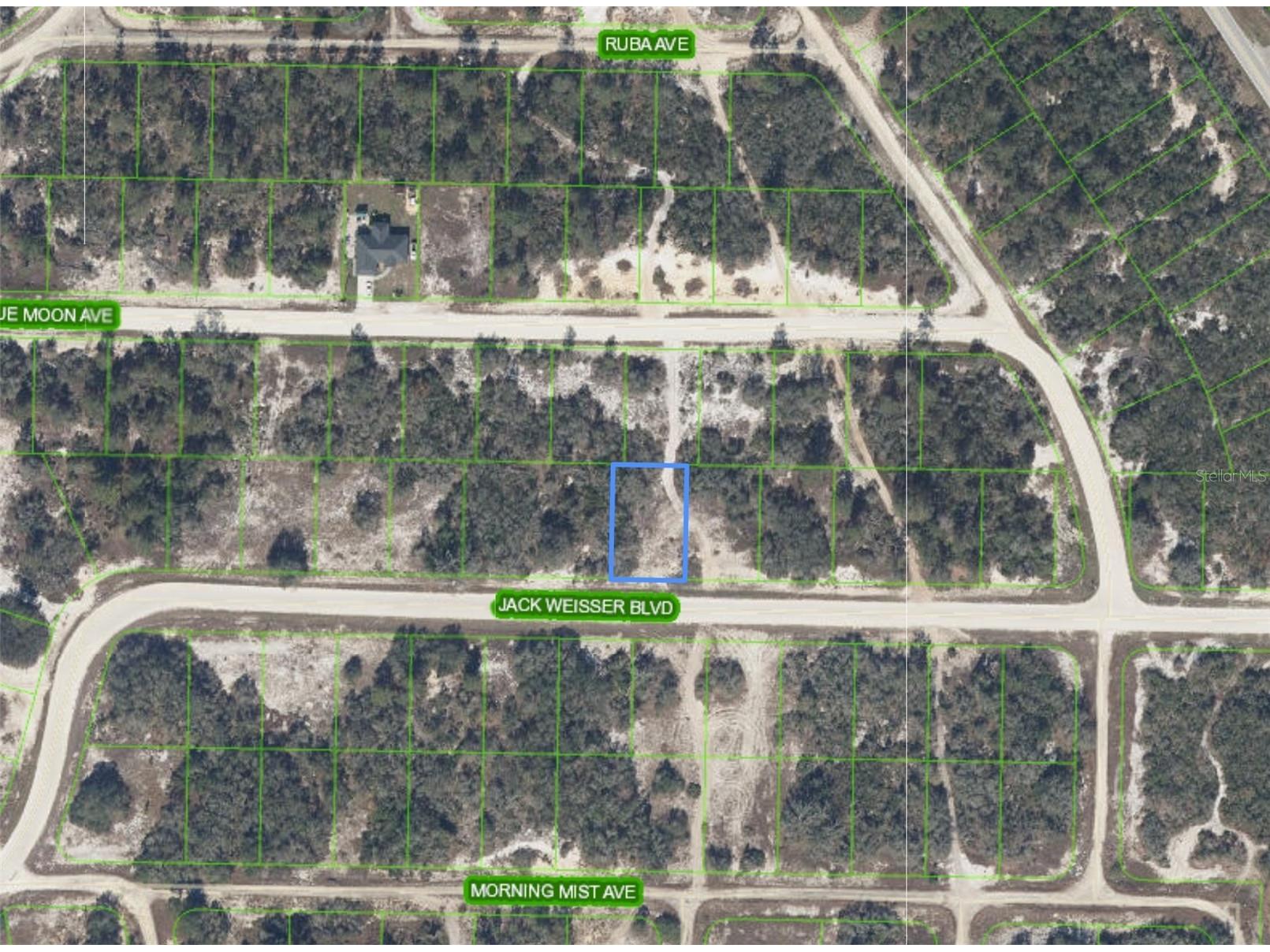 462 Jack Weisser Boulevard Lake Placid FL 33852 P4938859 image2