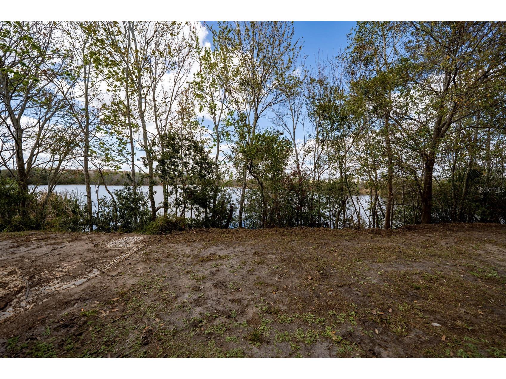 462 Lake Shore Parkway Davenport FL 33896 O6383790 image30