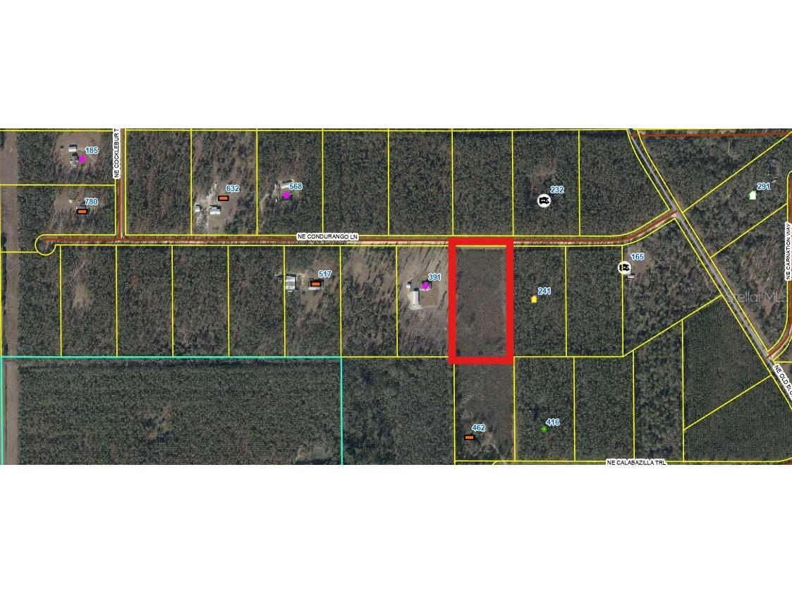462 NE Calabazilla Trail Lee FL 32059 O6384858 image2