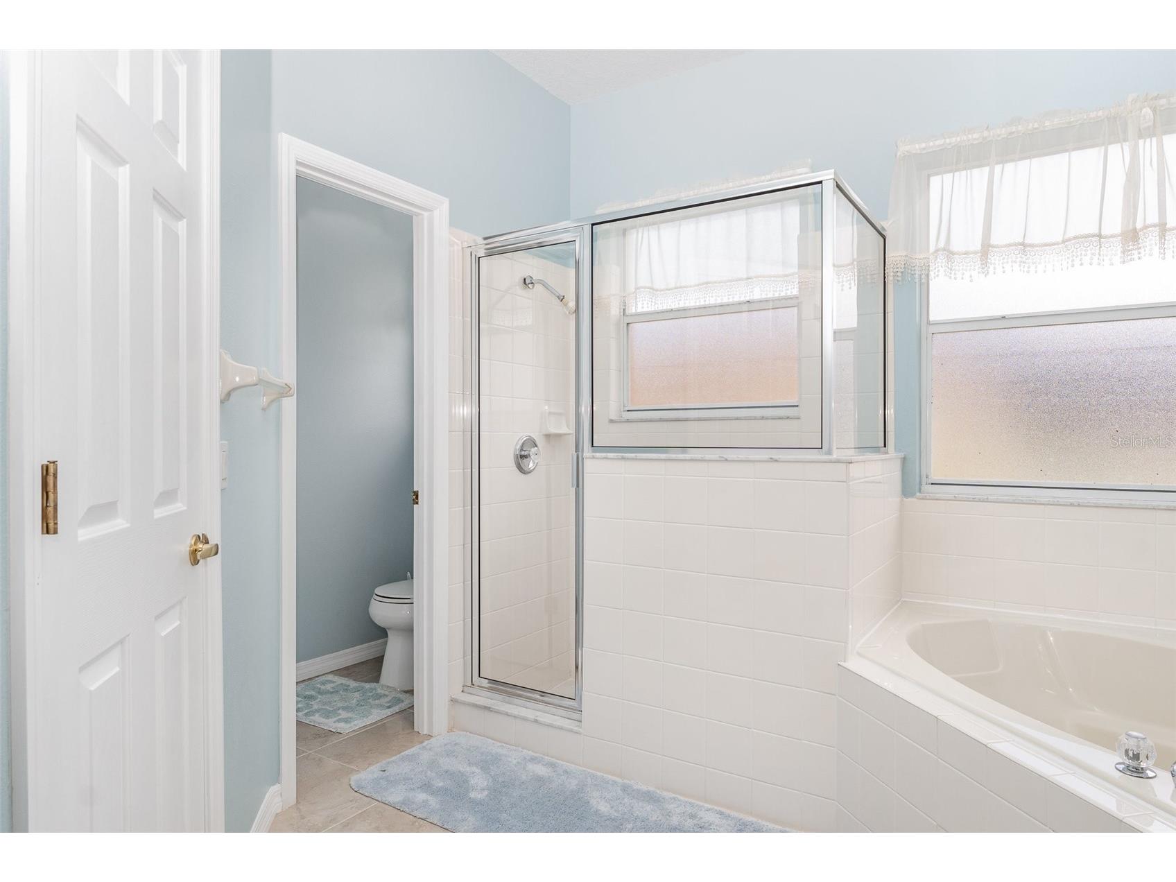 462 Peppermill Circle Kissimmee FL 34758 S5142917 image16