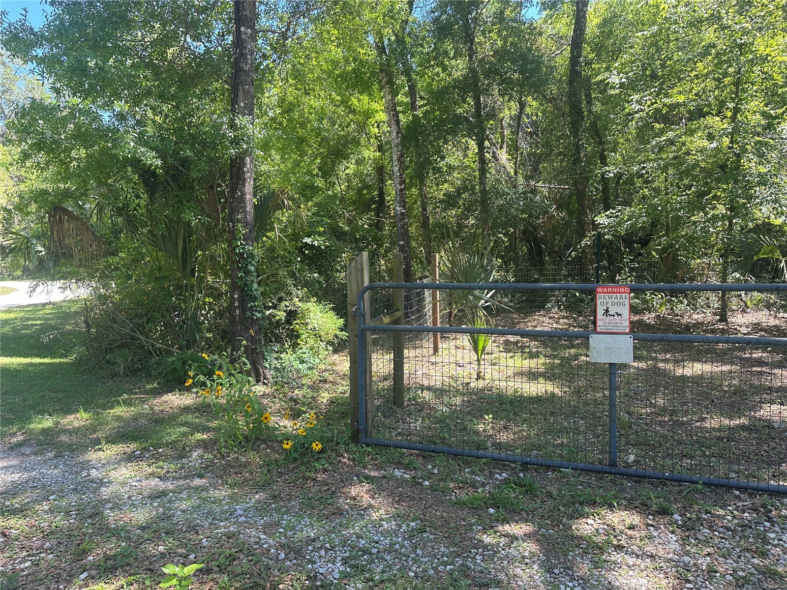 462 S Dew Plant Point Crystal River FL 34429 TB8500543 image41