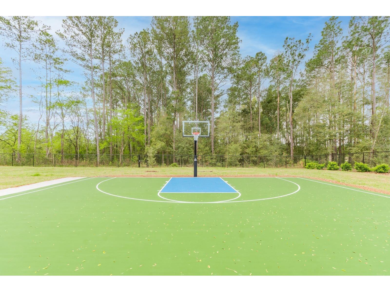 462 SW 144th Drive Newberry FL 32669 GC538491 image46