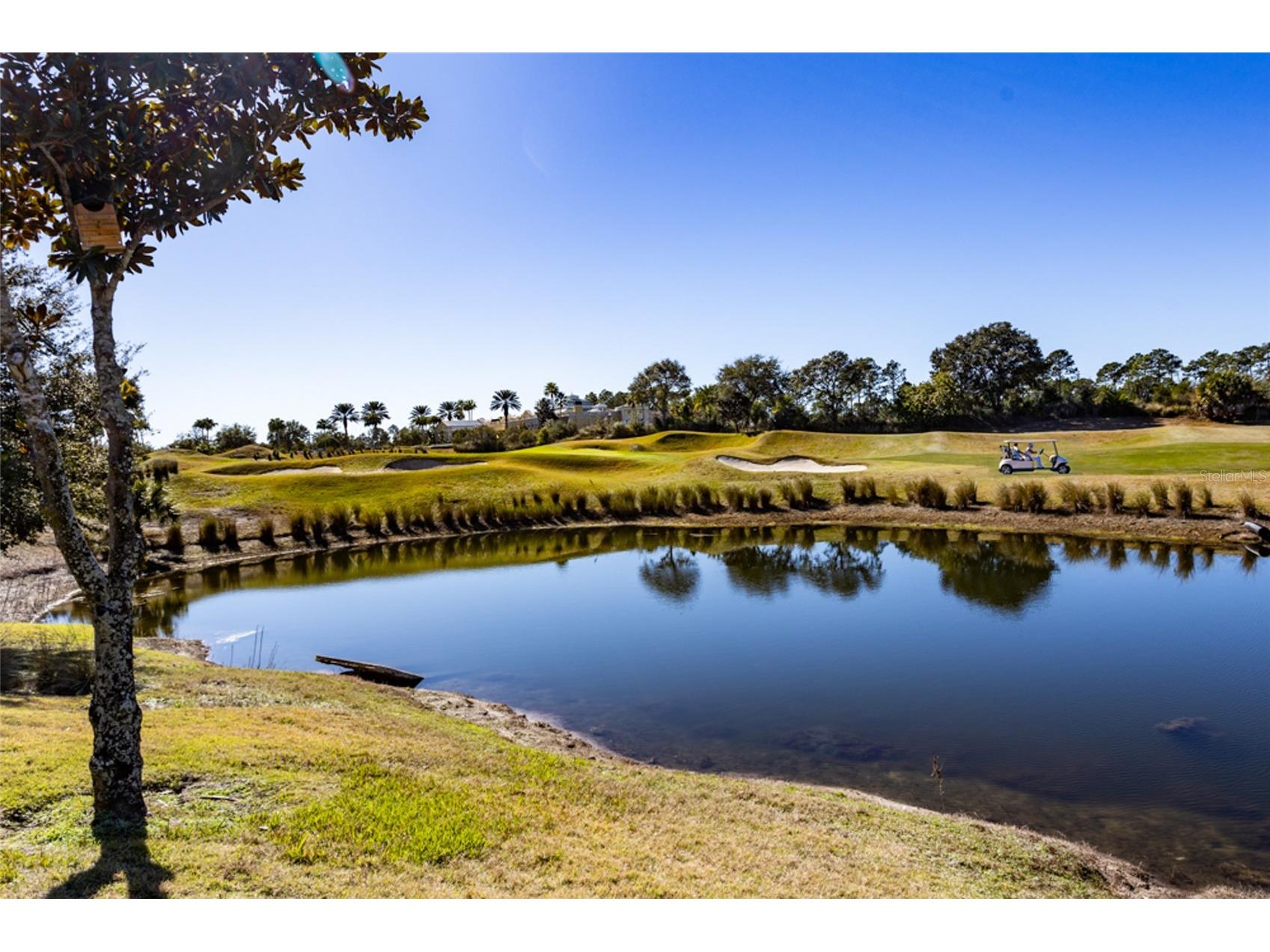 462 Sweetgum Lane Palm Coast FL 32137 FC315402 image45