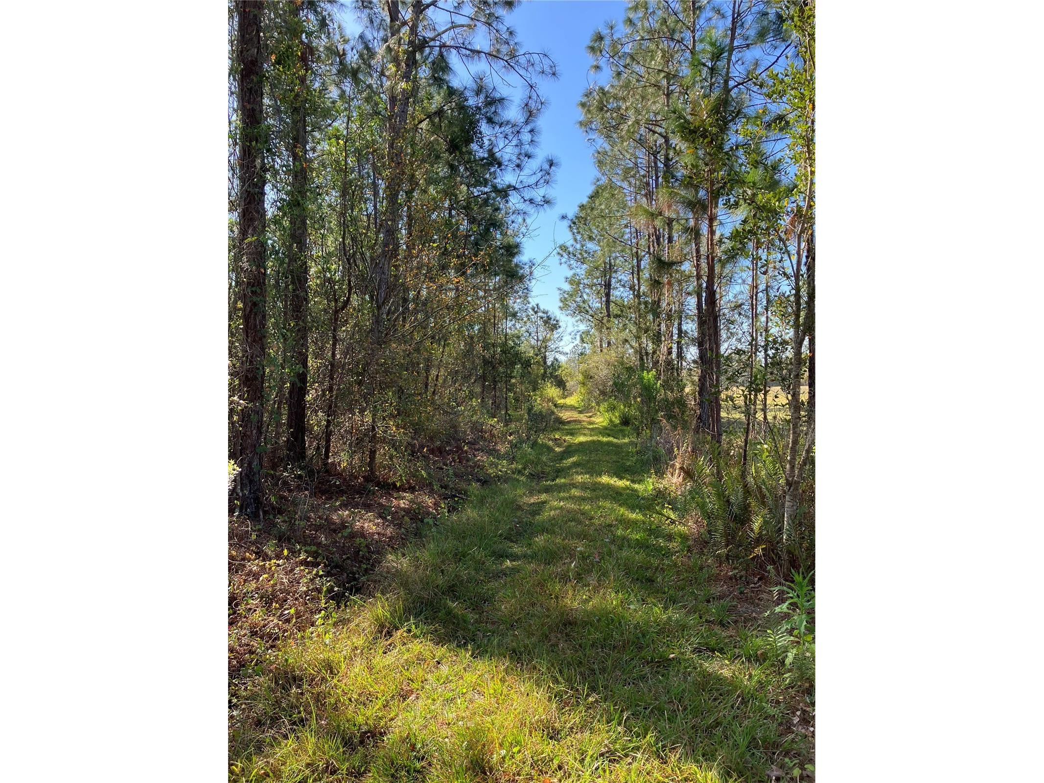 4620 405th Street E Myakka City FL 34251 G5108902 image39