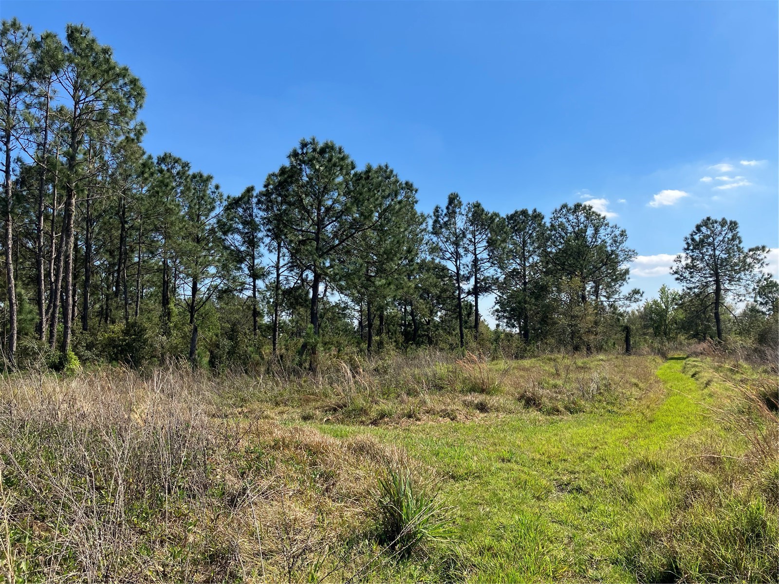 4620 405th Street E Myakka City FL 34251 G5108902 image40
