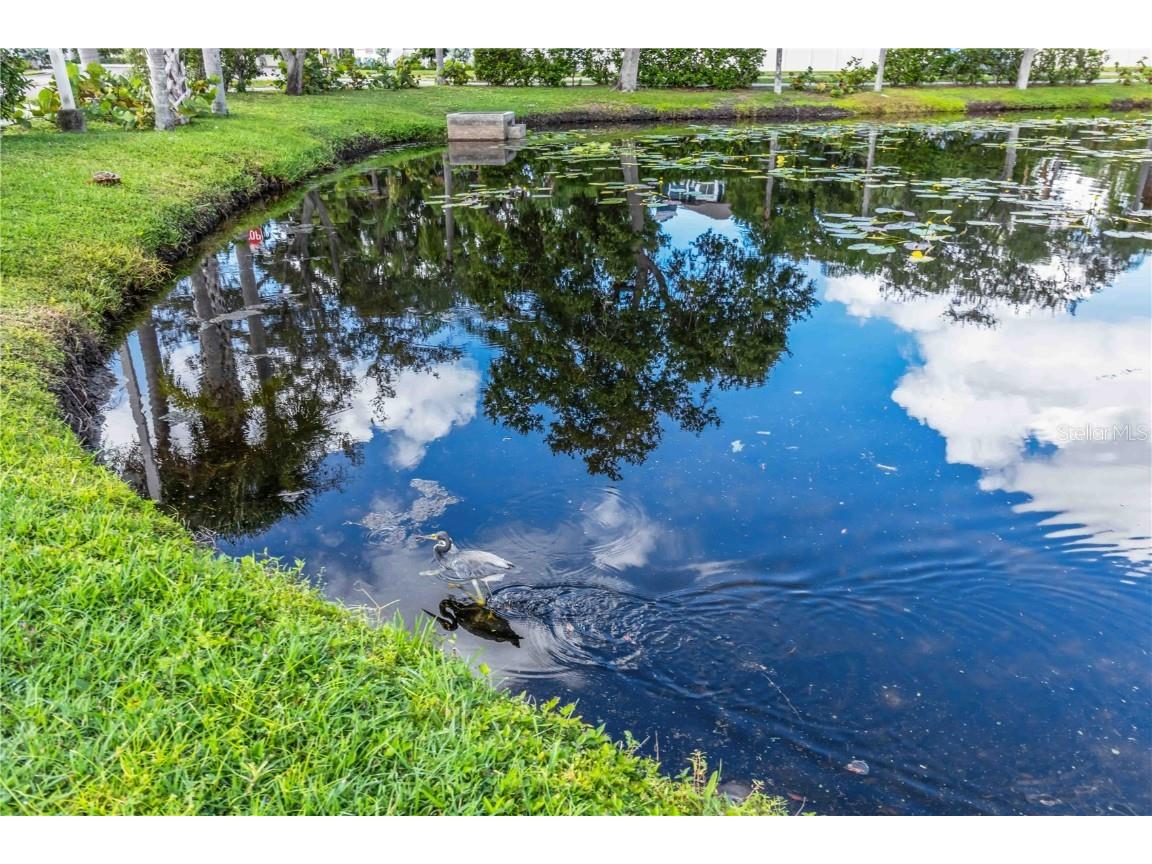 4620 47th Avenue W #201 Bradenton FL 34210 A4667635 image43