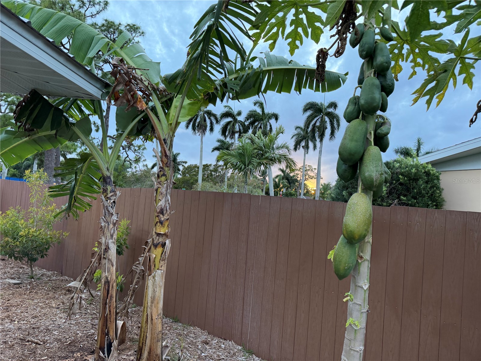 4620 7th Avenue W Bradenton FL 34209 A4687803 image48