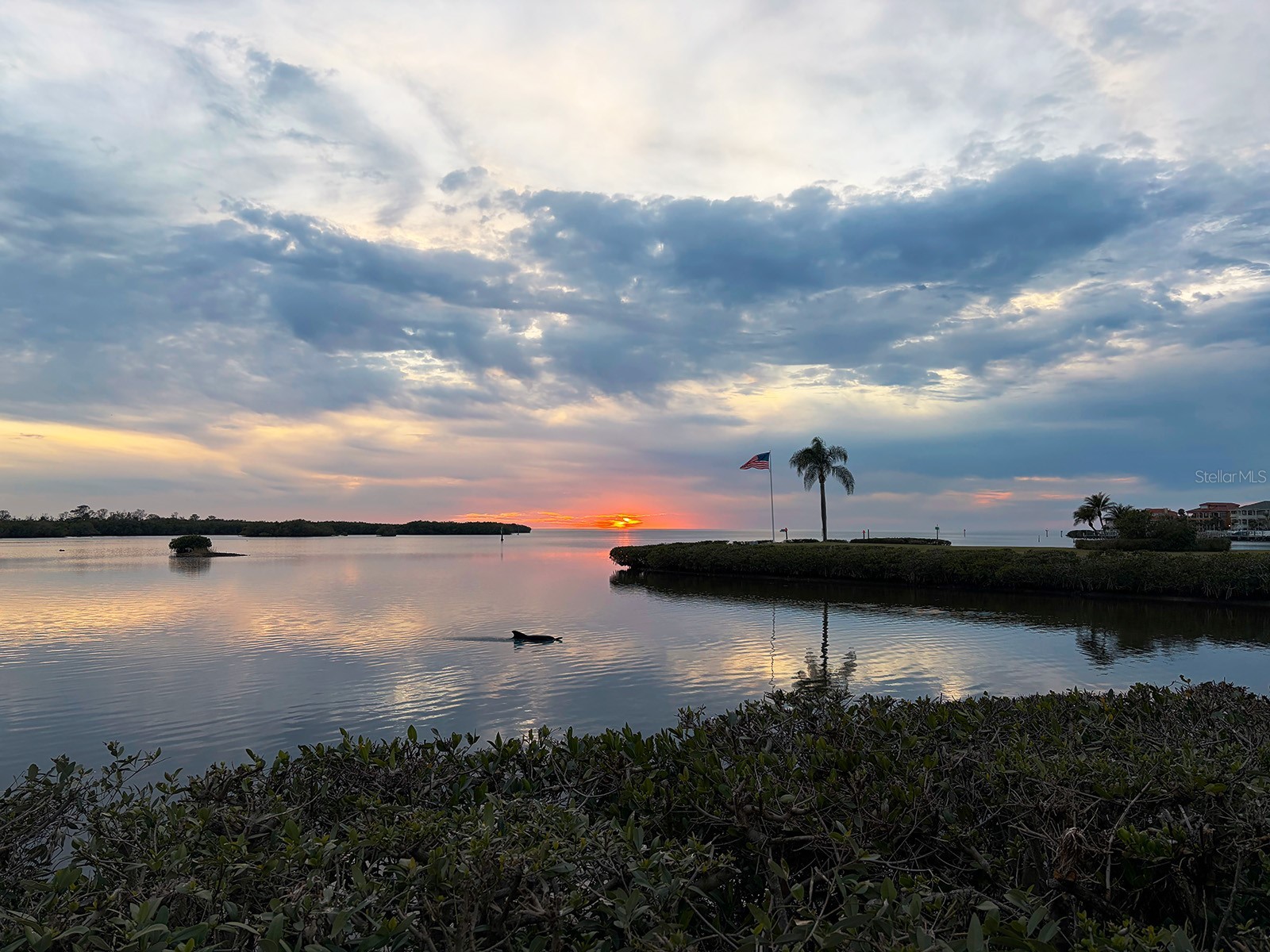 4620 Bay Boulevard #1122 Port Richey FL 34668 TB8466663 image23