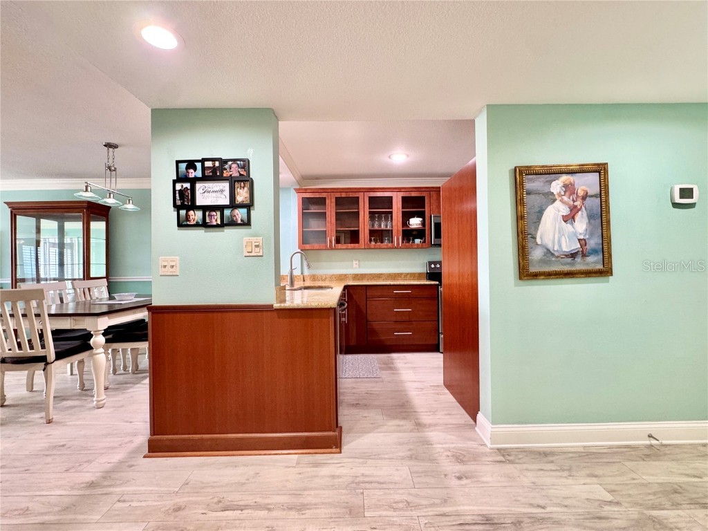 4620 Bay Boulevard #1145 Port Richey FL 34668 - GULF OF AMERICA COTEE RIVER W7879094 image19