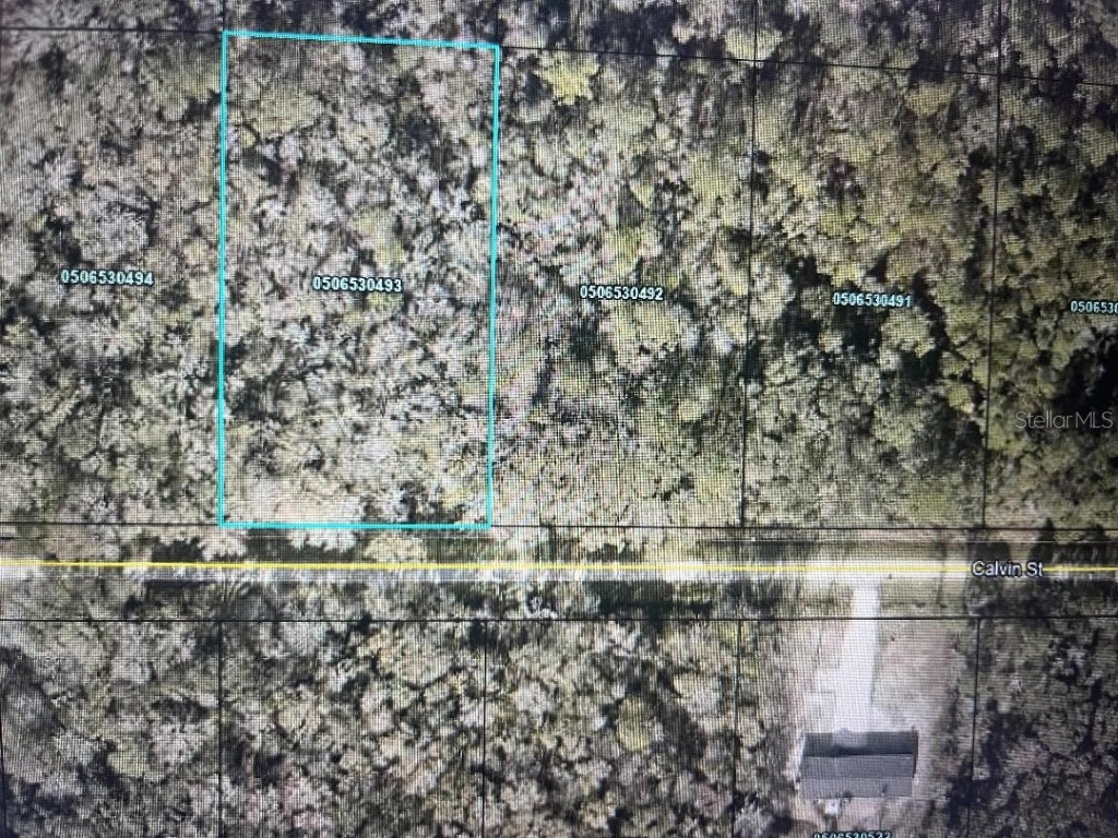 4620 Calvin Street Hastings FL 32145 OM656735 image1