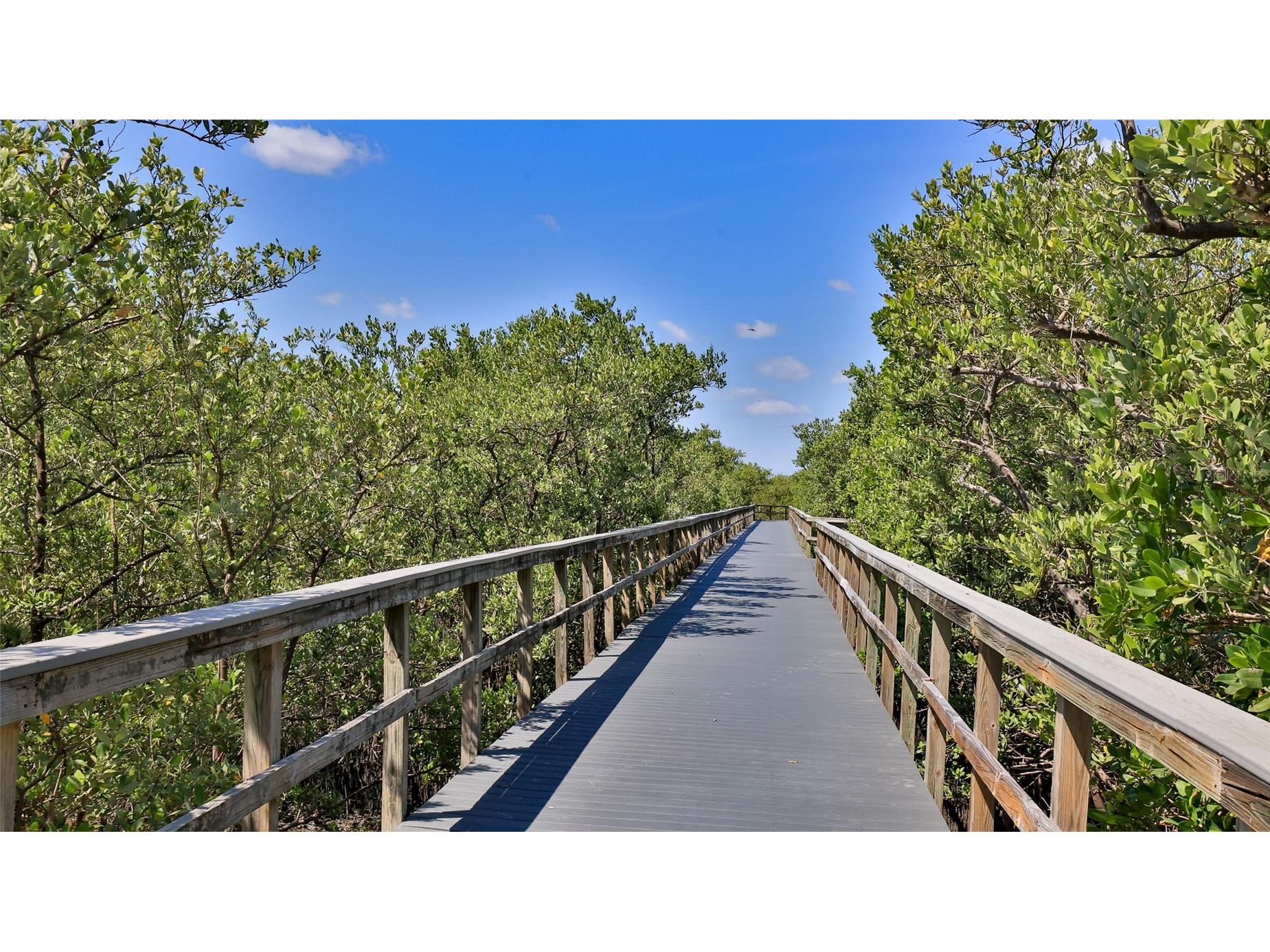 4620 Riverwalk Village Court #7306 Ponce Inlet FL 32127 NS1084980 image11