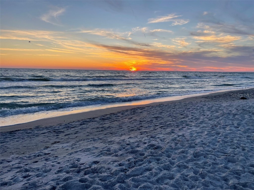 4621 Gulf Of Mexico Drive #10D Longboat Key FL 34228 - GULF OF AMERICA TB8453208 image4