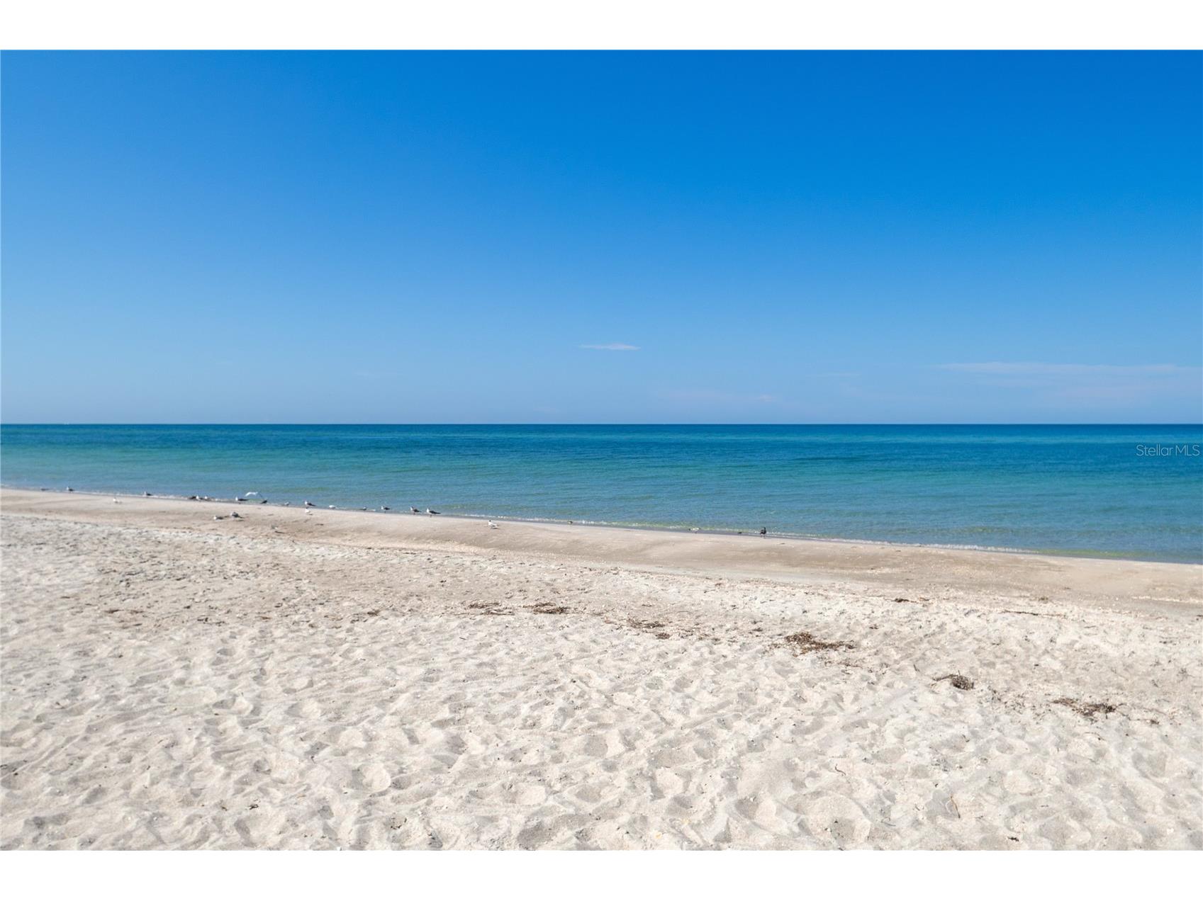 4621 Gulf Of Mexico Drive #14F Longboat Key FL 34228 - GULF A4664627 image31