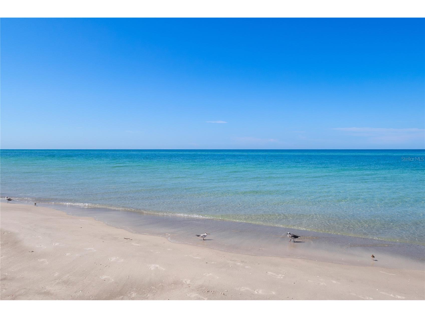 4621 Gulf Of Mexico Drive #14F Longboat Key FL 34228 - GULF A4664627 image32