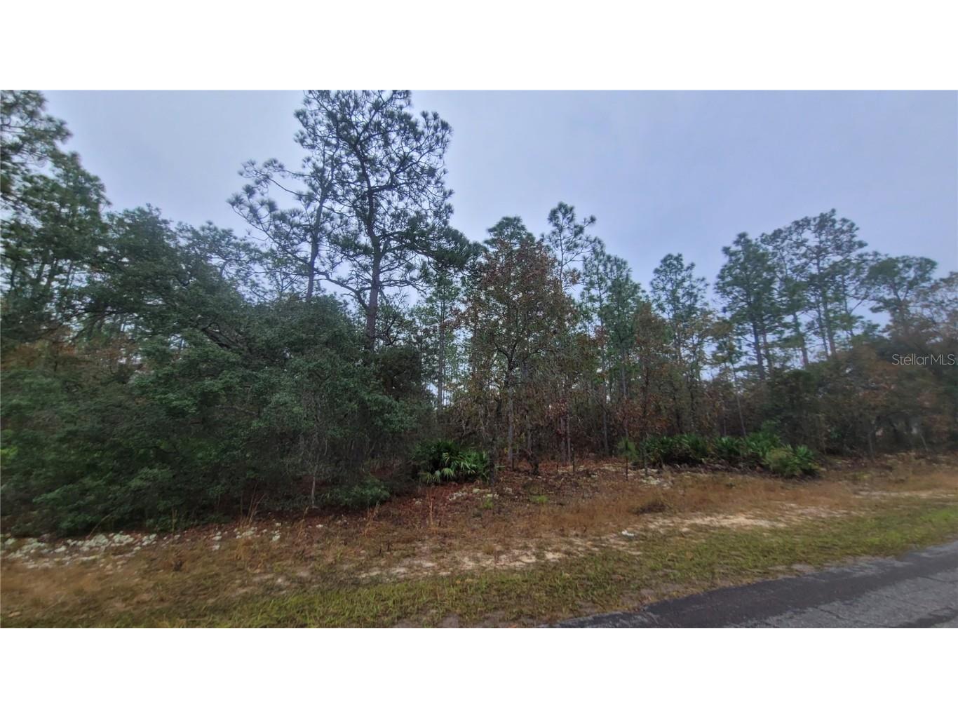 4621 N Pink Poppy Beverly Hills FL 34465 TB8454516 image1