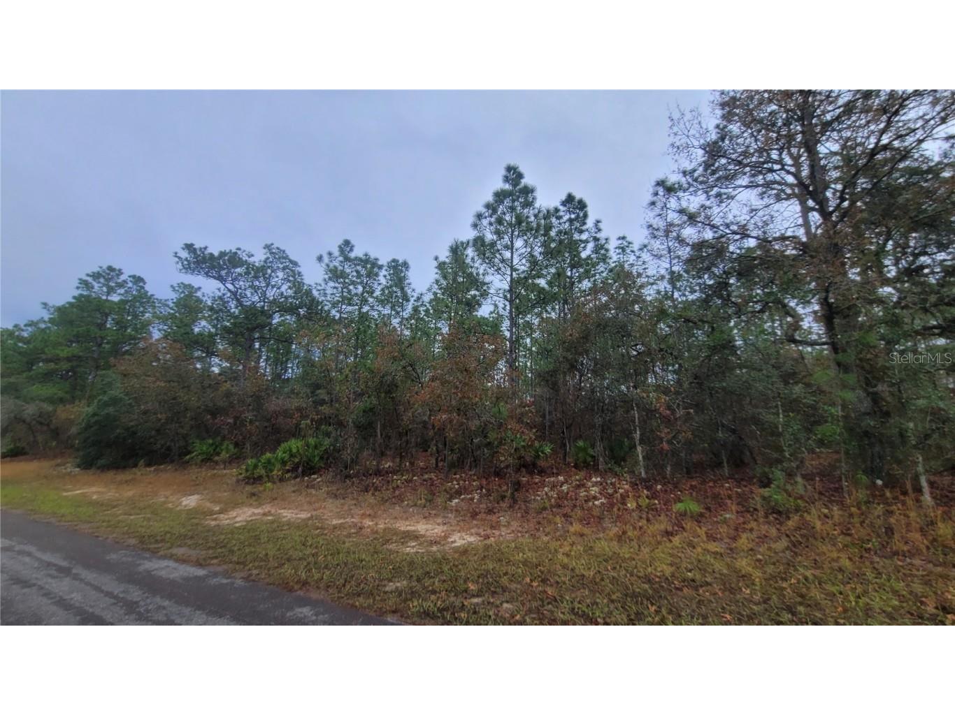 4621 N Pink Poppy Beverly Hills FL 34465 TB8454516 image2