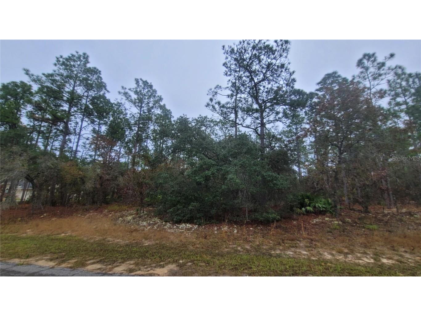 4621 N Pink Poppy Beverly Hills FL 34465 TB8454516 image3