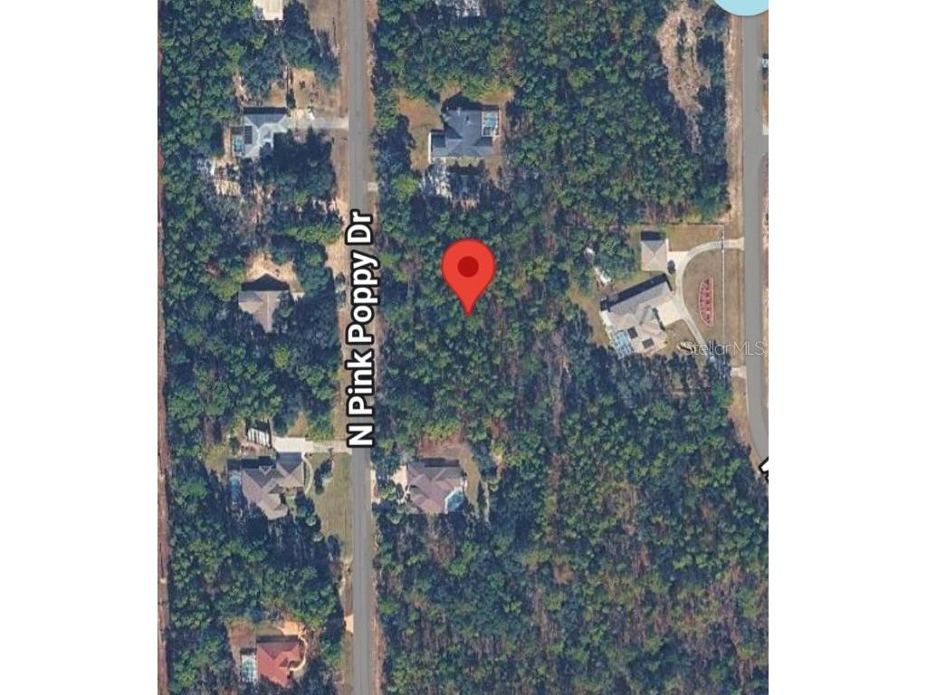 4621 N Pink Poppy Beverly Hills FL 34465 TB8454516 image4